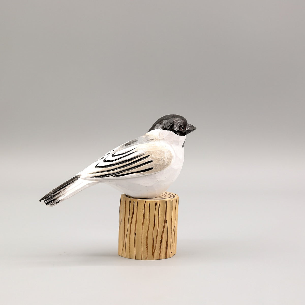 Black-Capped Chickadee