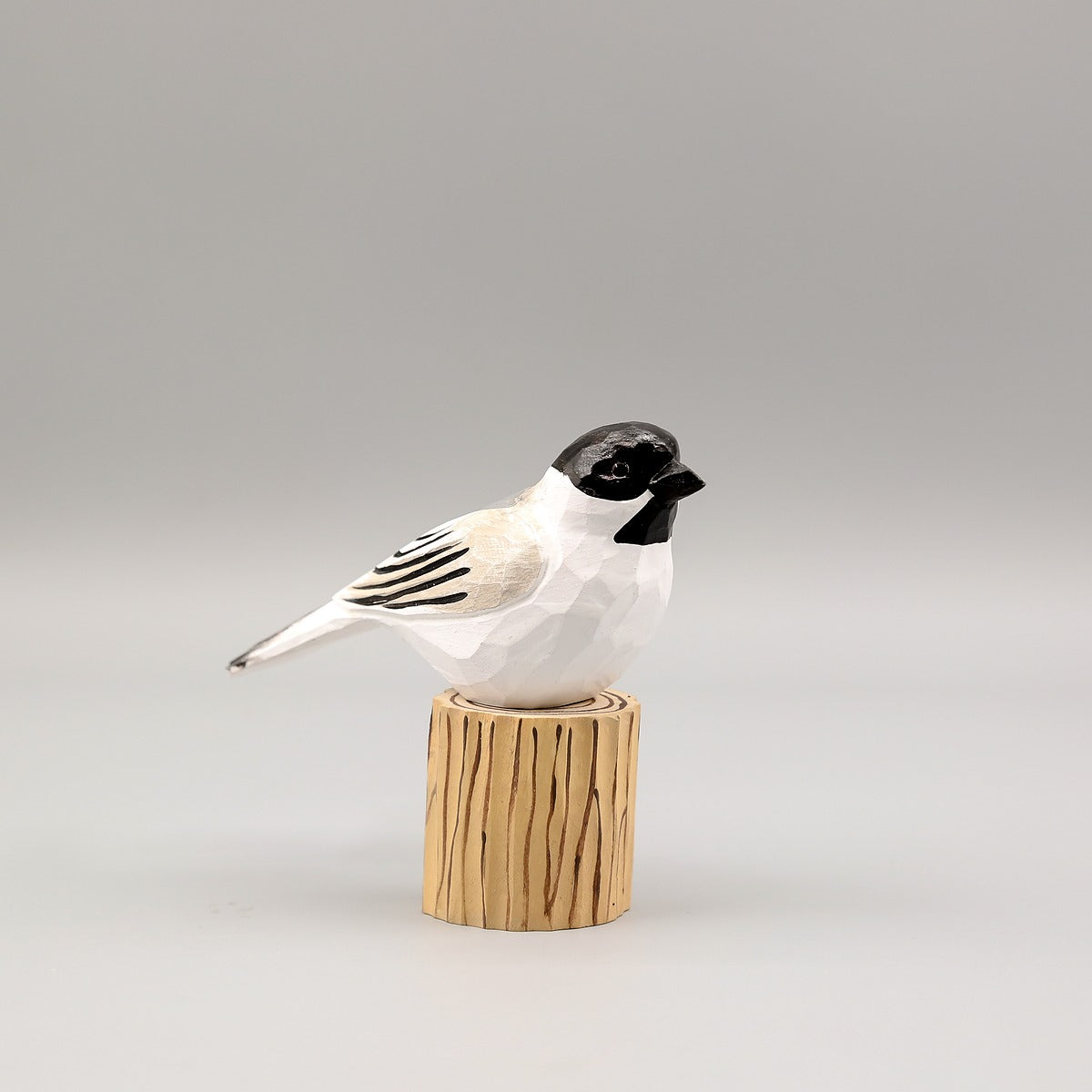 Black-Capped Chickadee
