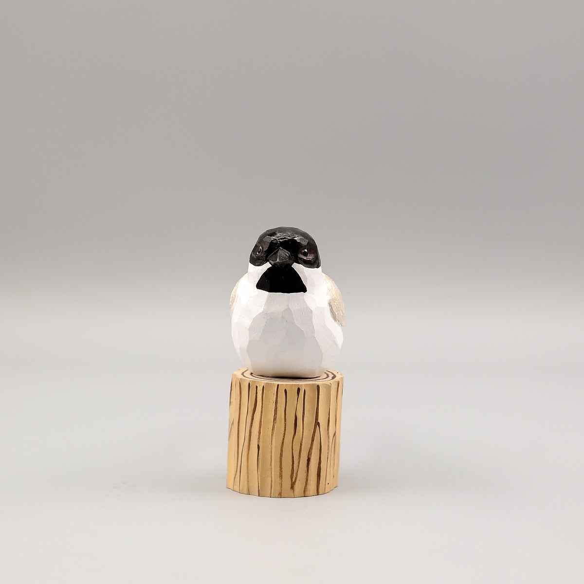 Black-Capped Chickadee