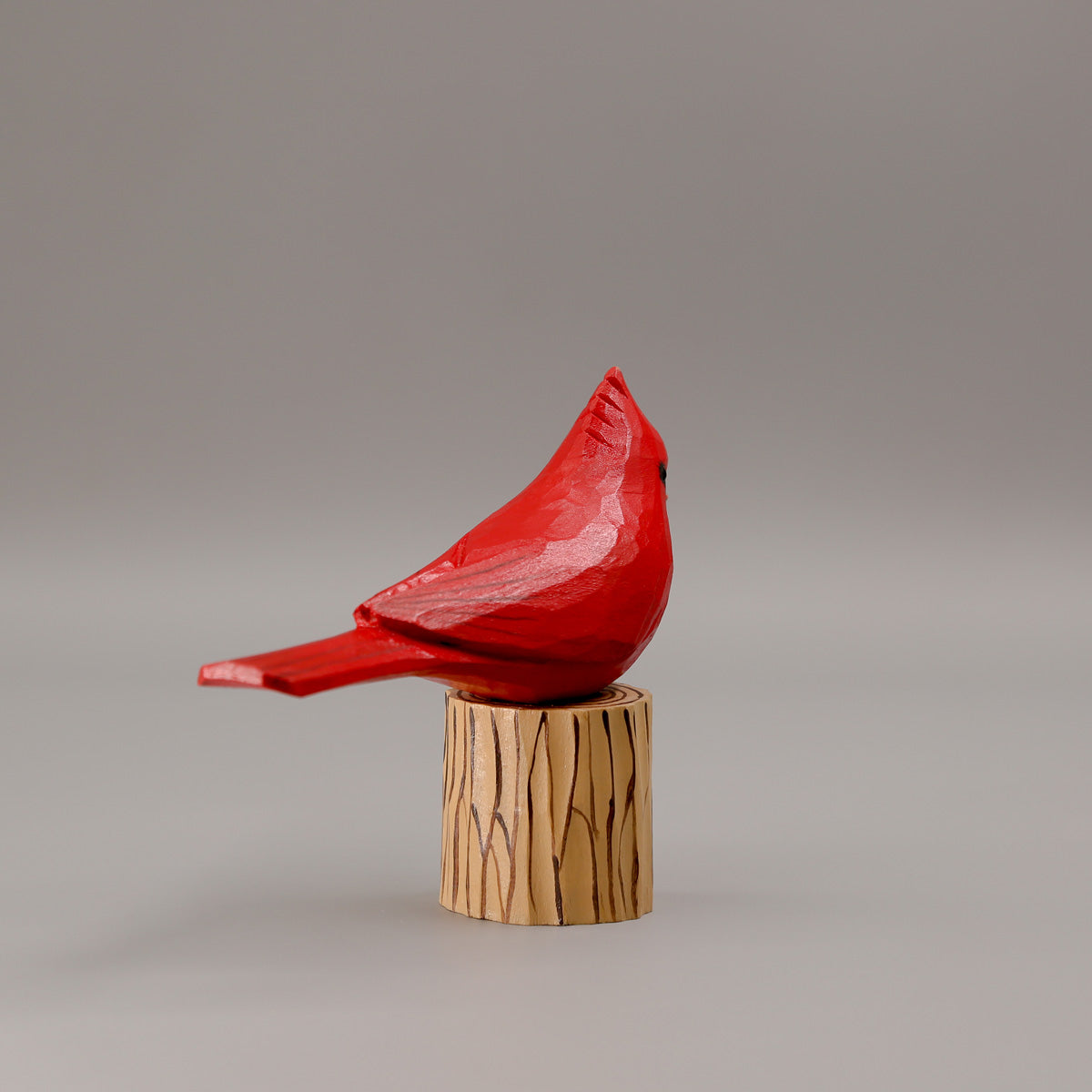 Male Cardinal