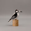 Woodpecker