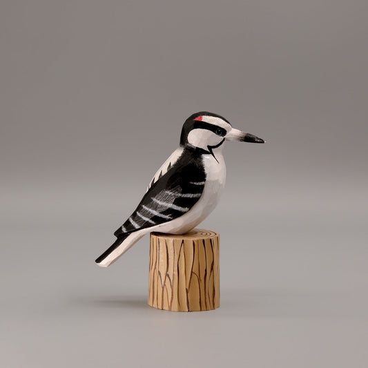 Woodpecker