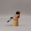 Robin