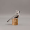 Tufted Titmouse