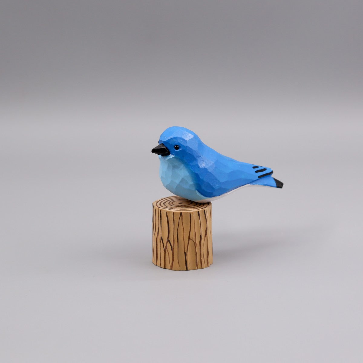 Mountain Bluebird