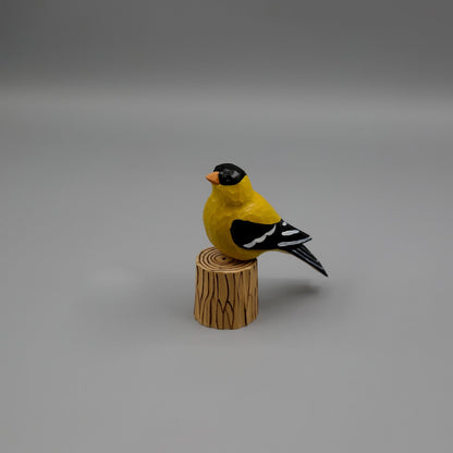 American Goldfinch