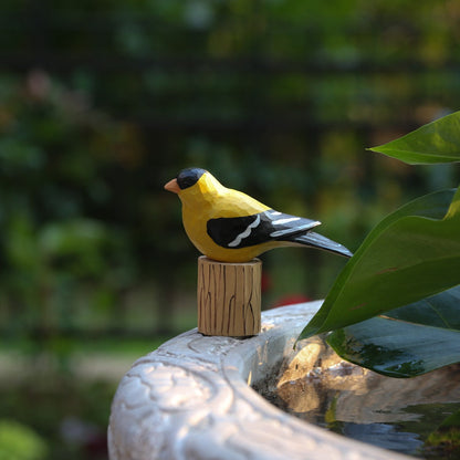 American Goldfinch