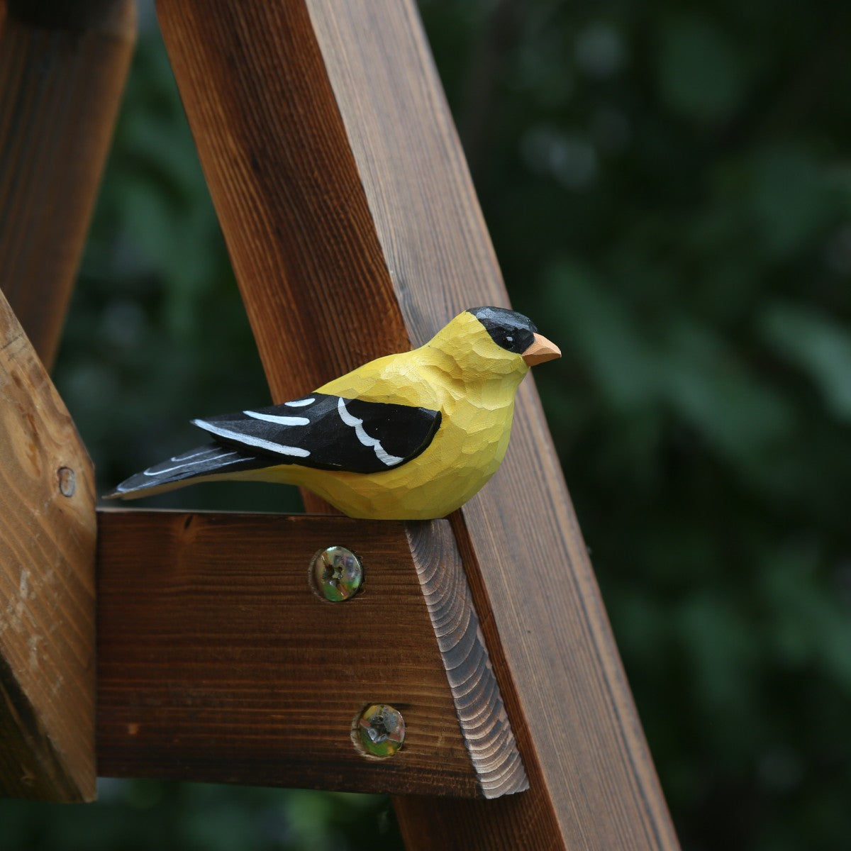 American Goldfinch