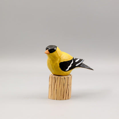 American Goldfinch