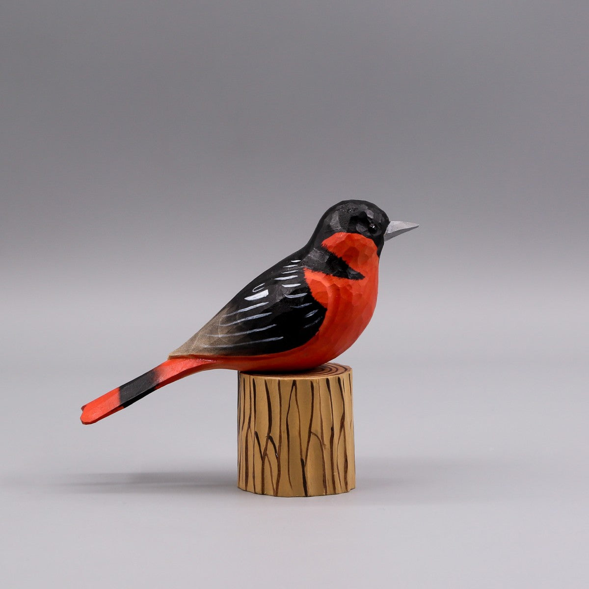 Baltimore Oriole