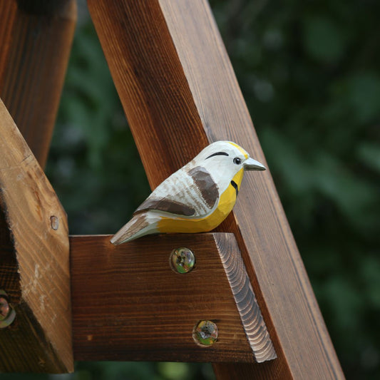 Western Meadowlark