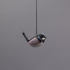 Superb Fairywren Ornament