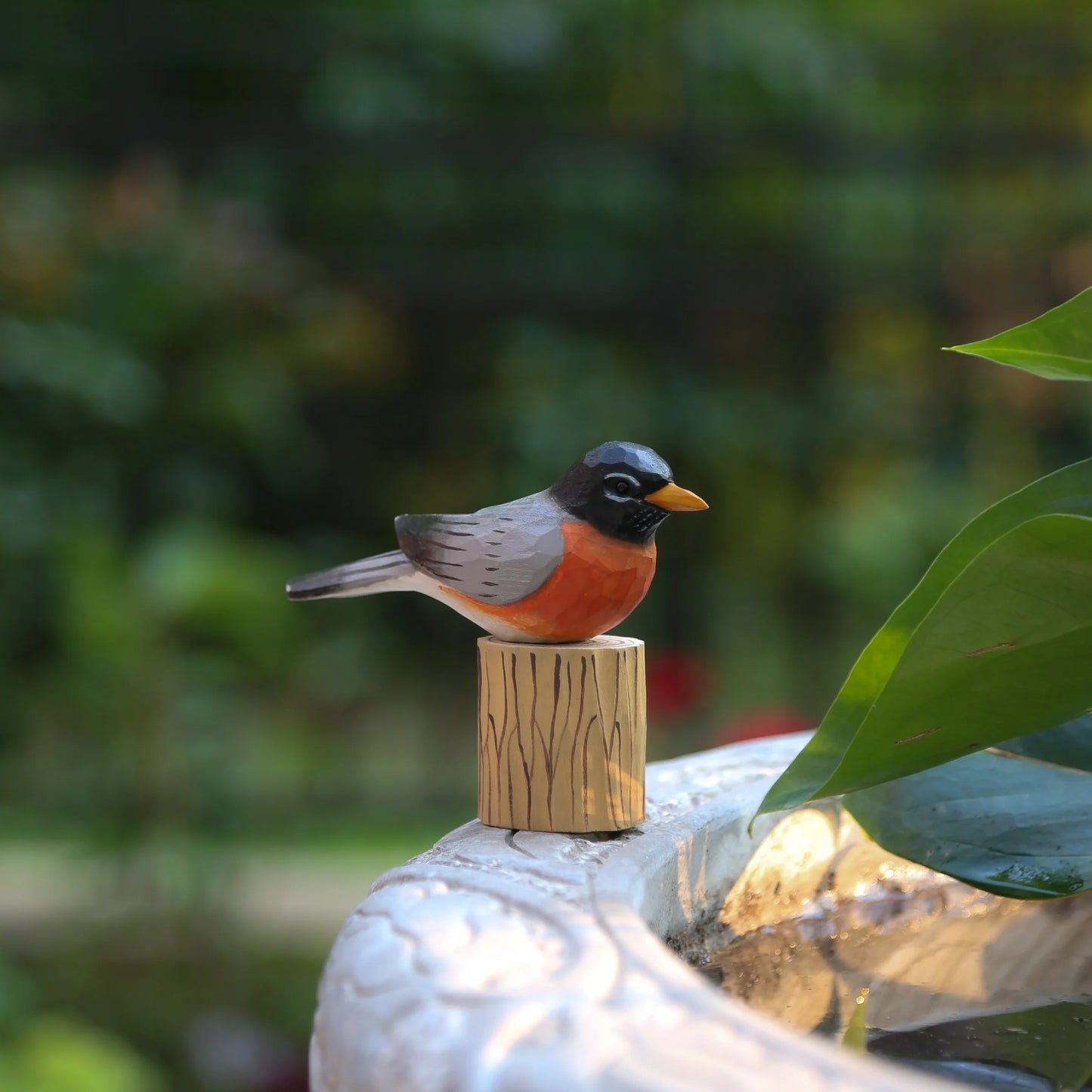 Robin