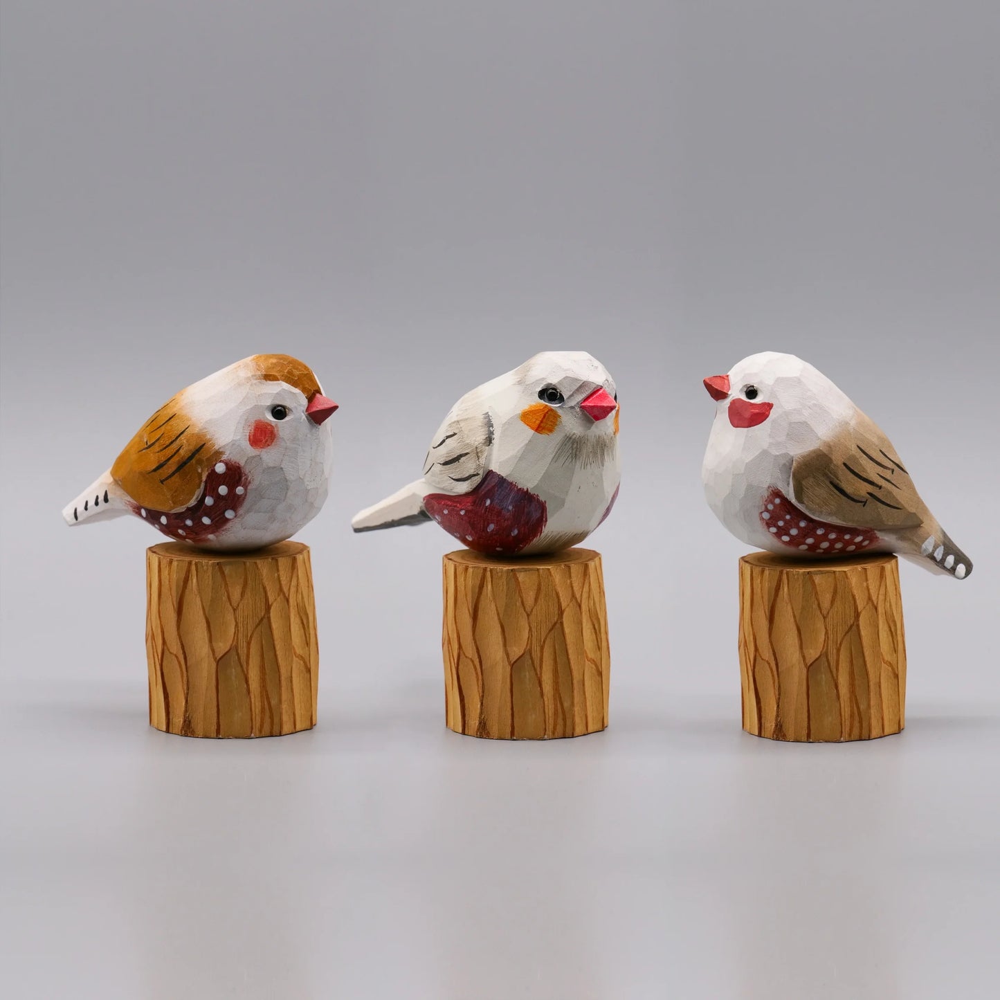 Zebra Finch Family Trio