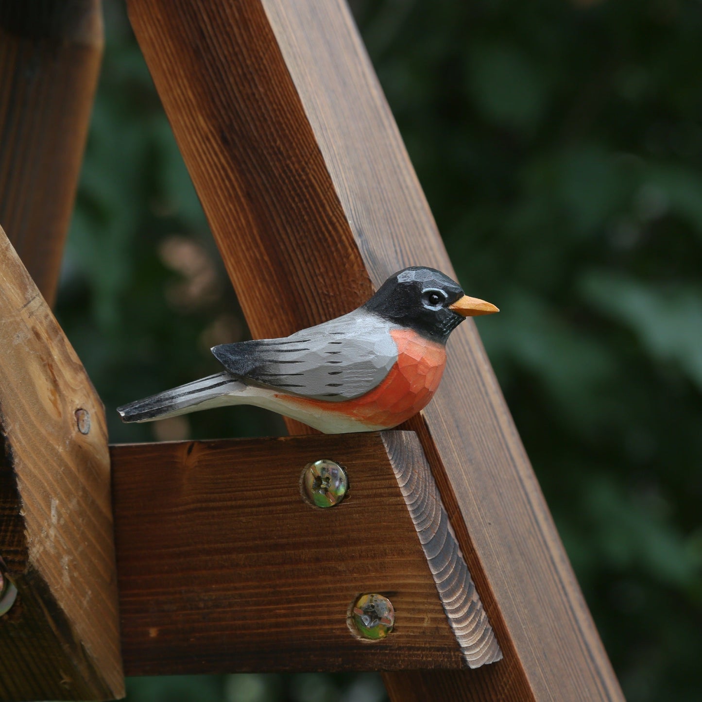 Robin