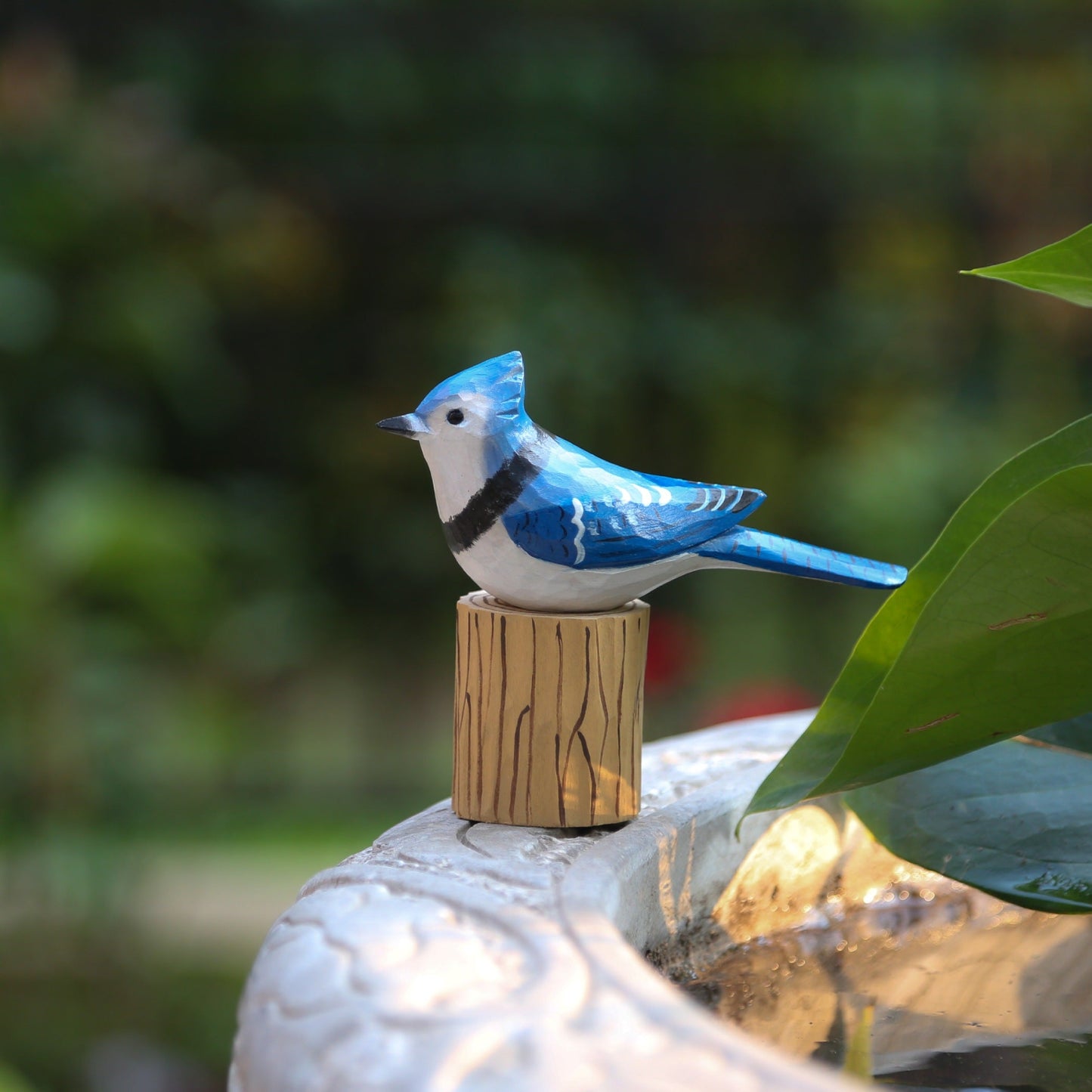 Blue Jay