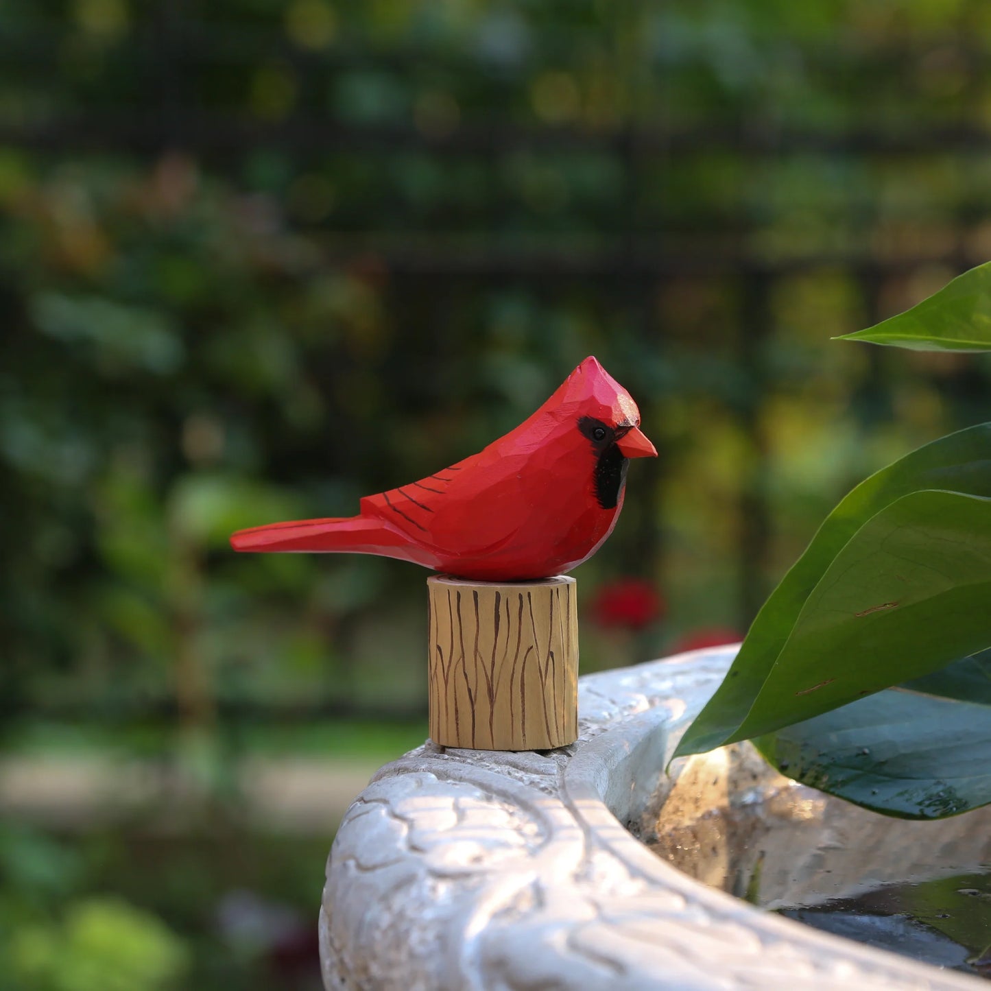 Male Cardinal