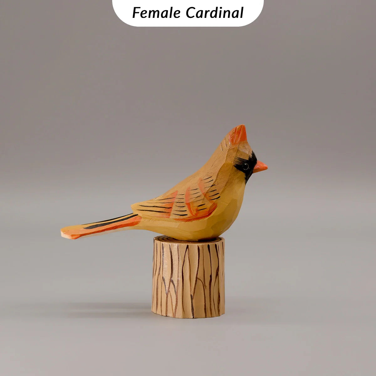 Set of 6 Signature Birds