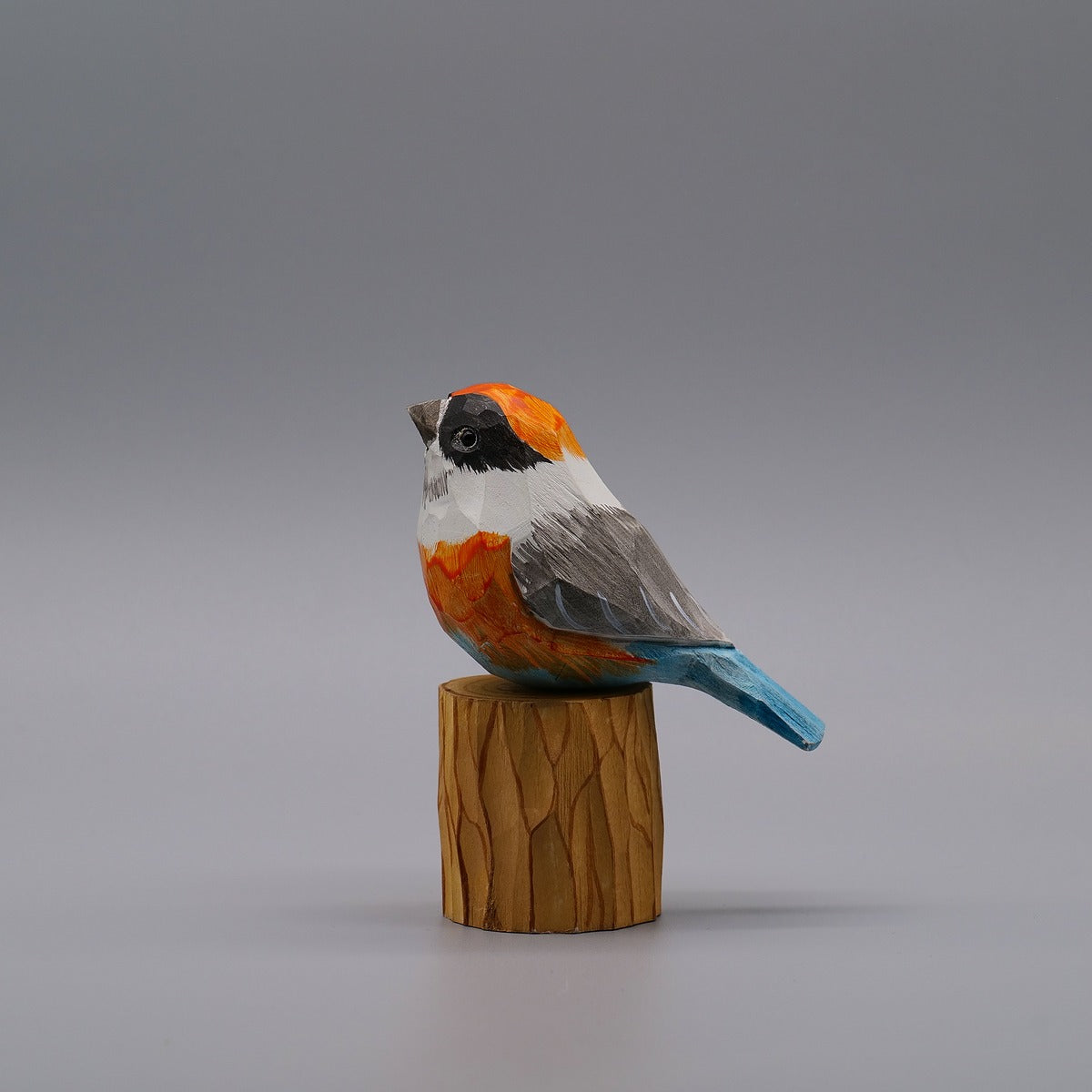 Classic Black-throated Bushtit