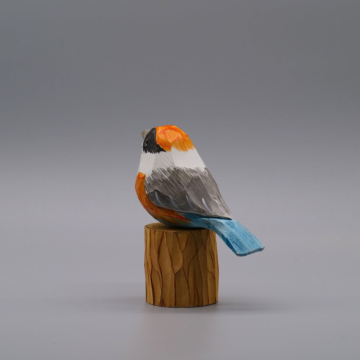 Classic Black-throated Bushtit