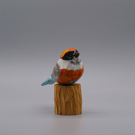 Classic Black-throated Bushtit