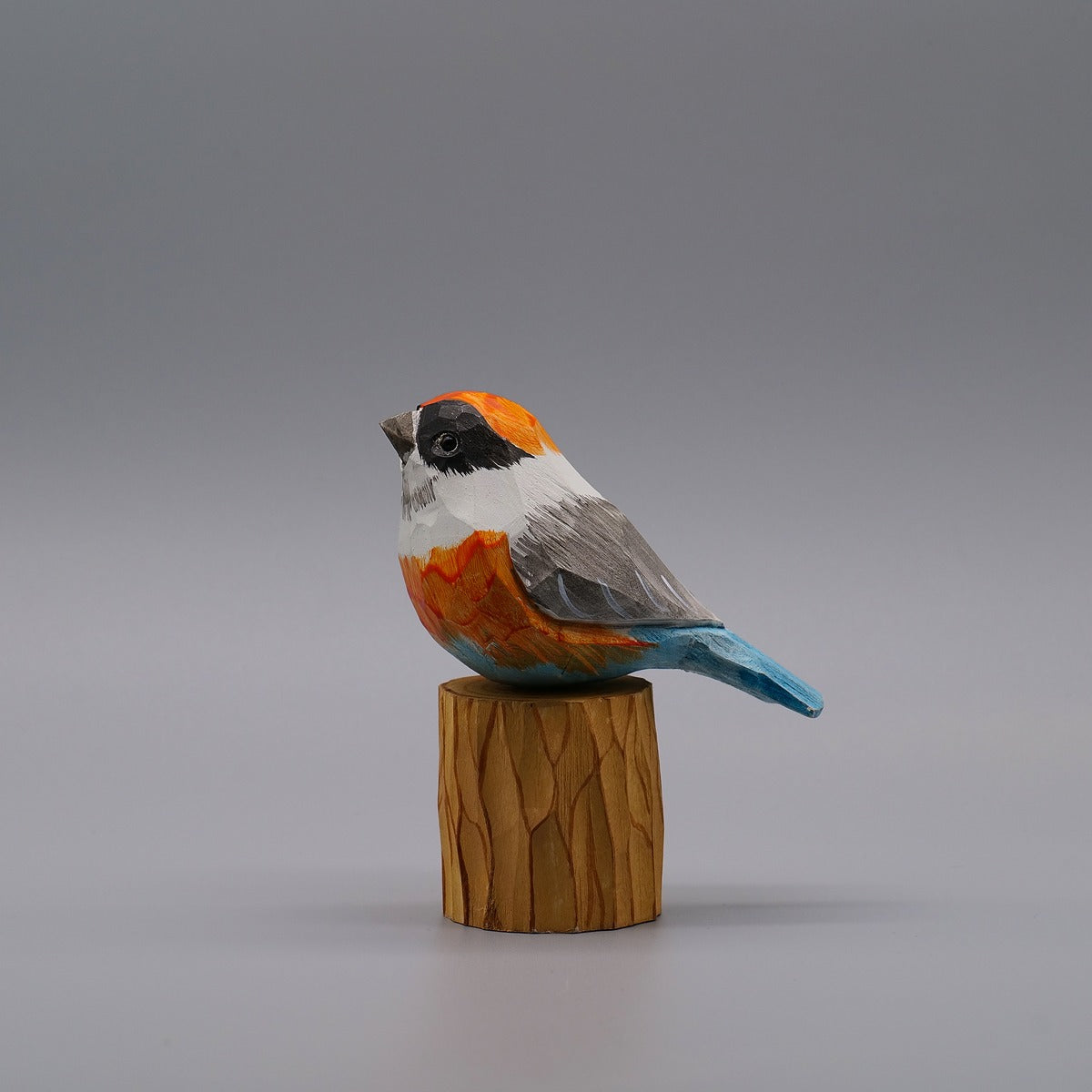 Classic Black-throated Bushtit