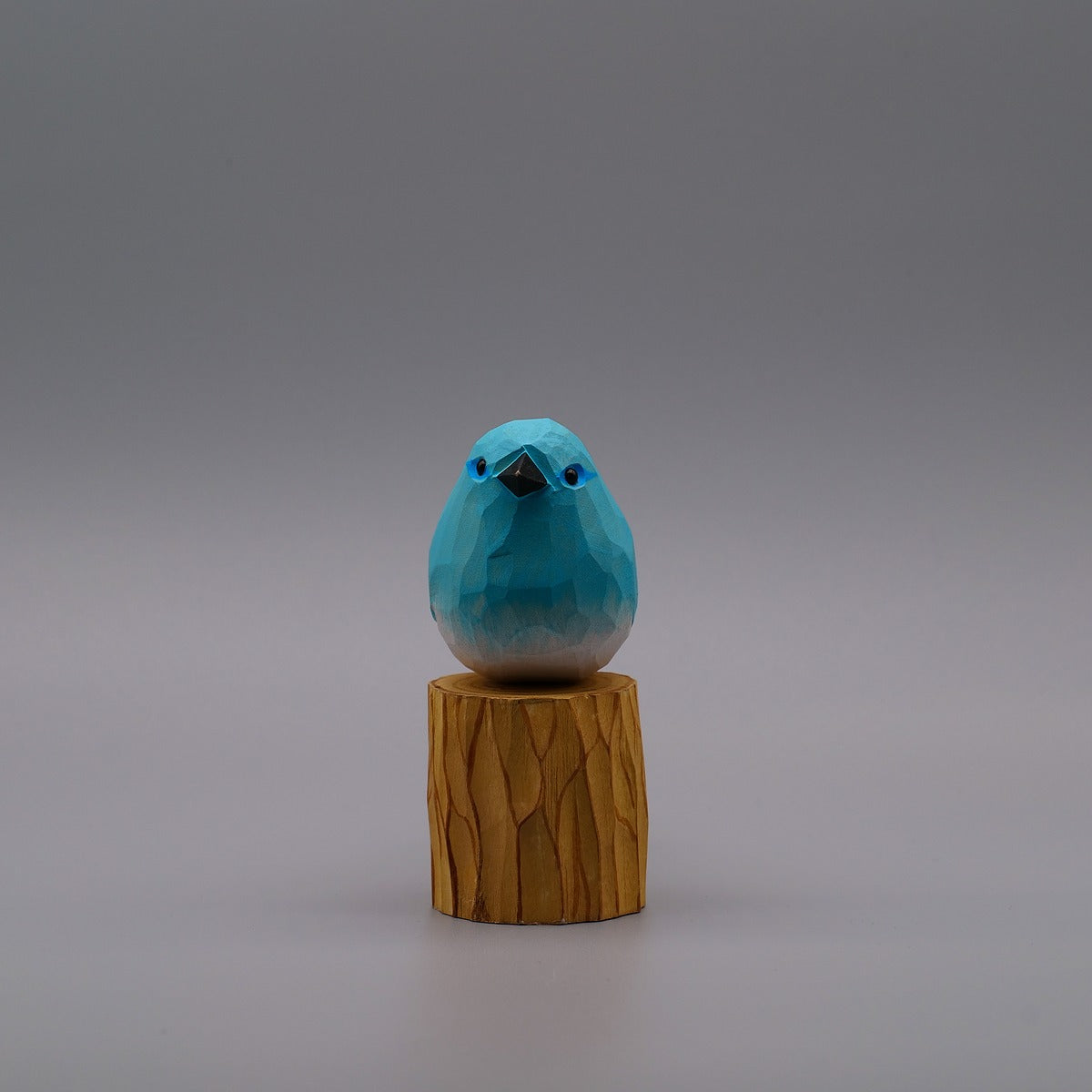 Classic Mountain Bluebird