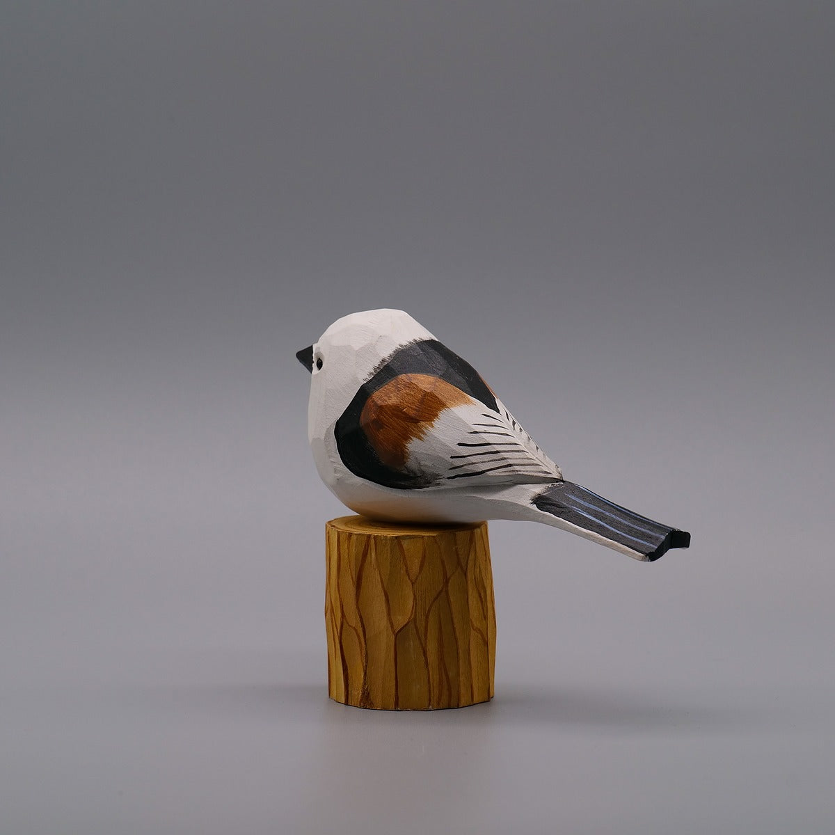 Classic Long-Tailed Tit