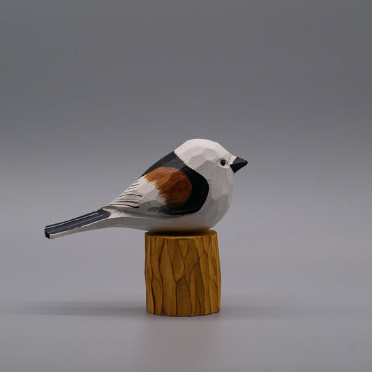 Classic Long-Tailed Tit
