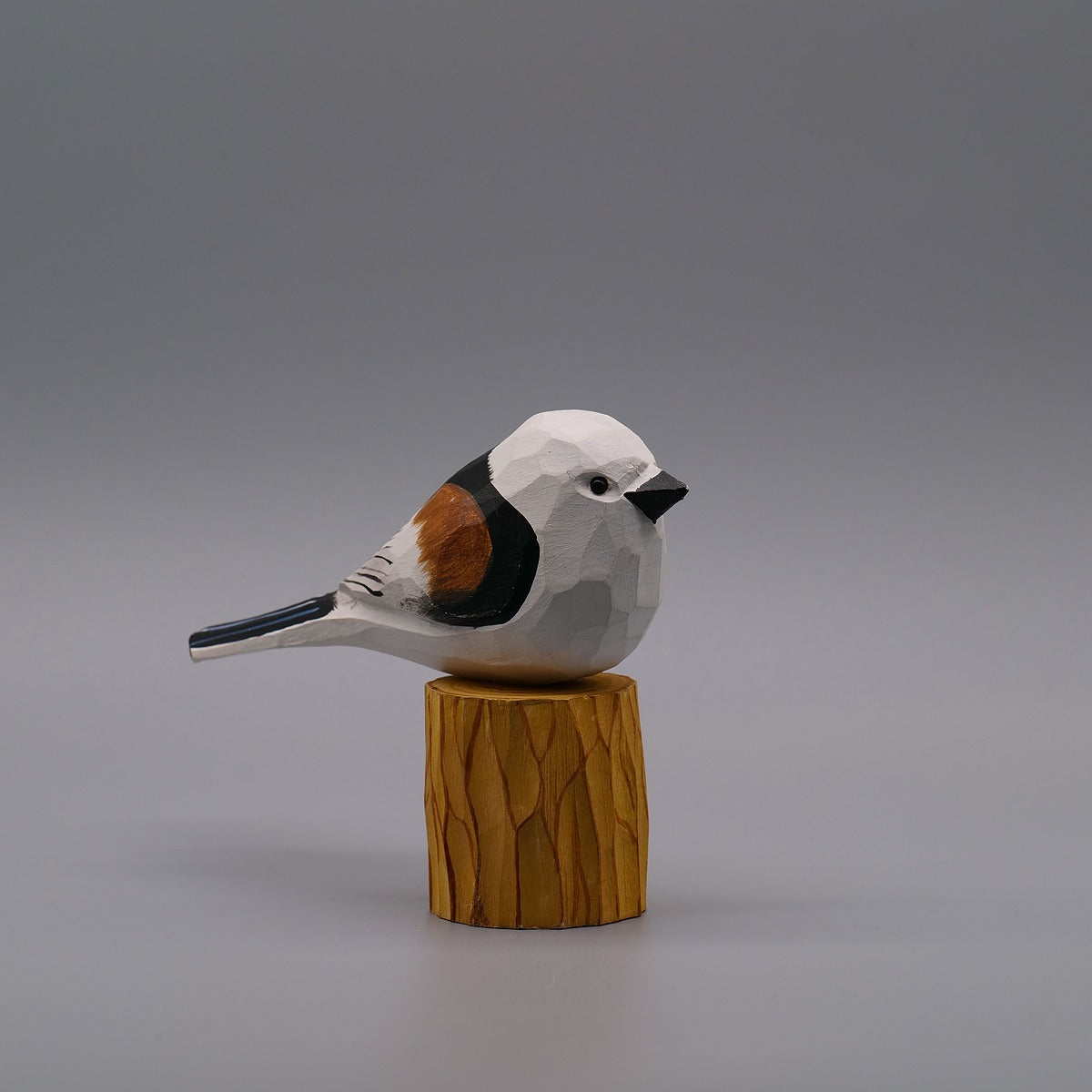 Classic Long-Tailed Tit