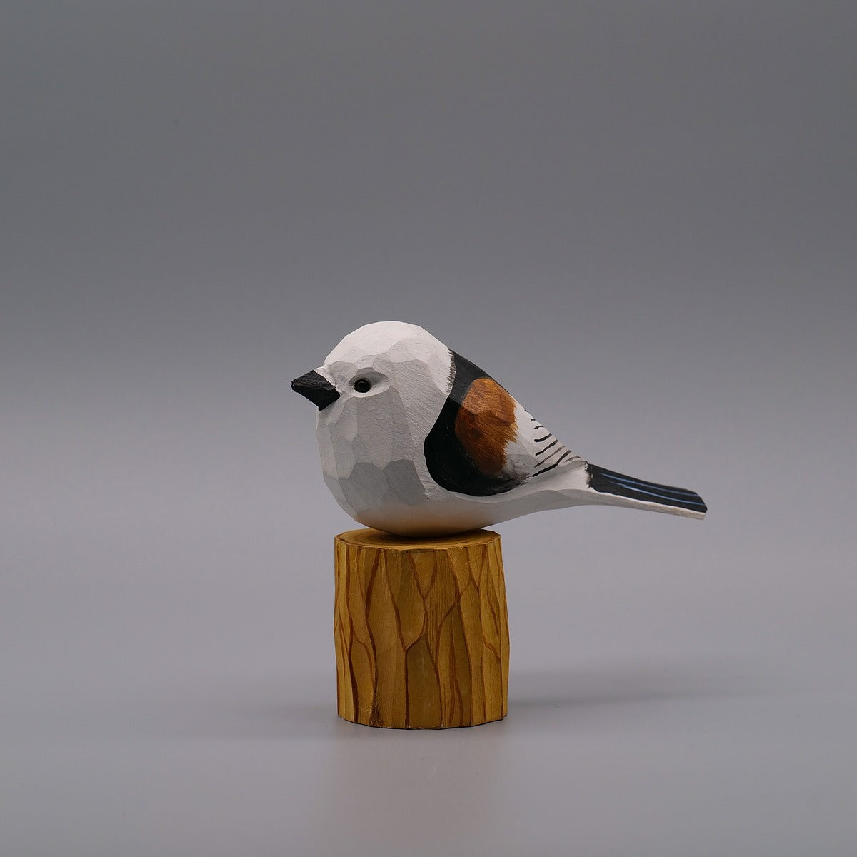 Classic Long-Tailed Tit