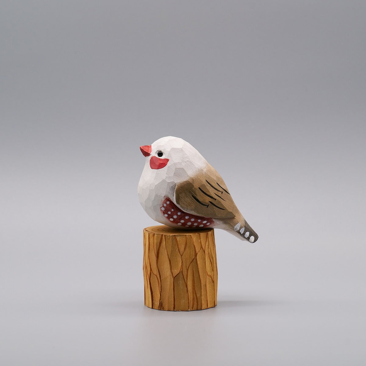 Male and Female Zebra Finch Set