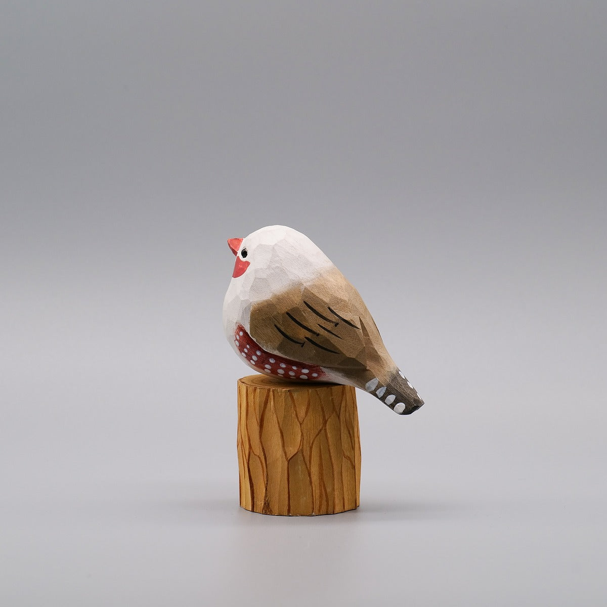 Classic Female Zebra Finch