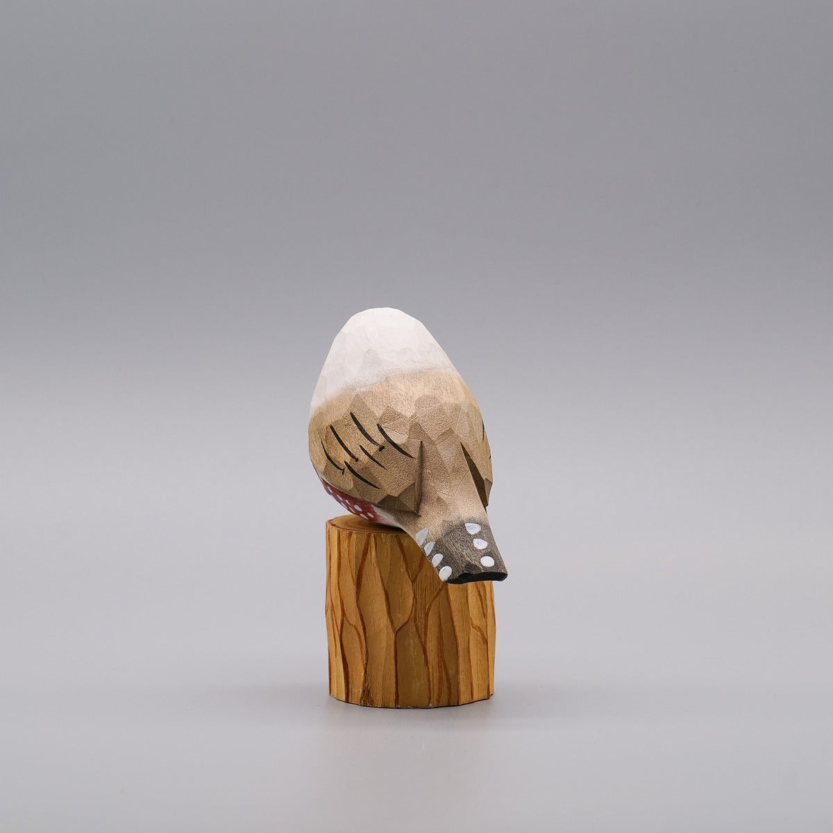Classic Female Zebra Finch