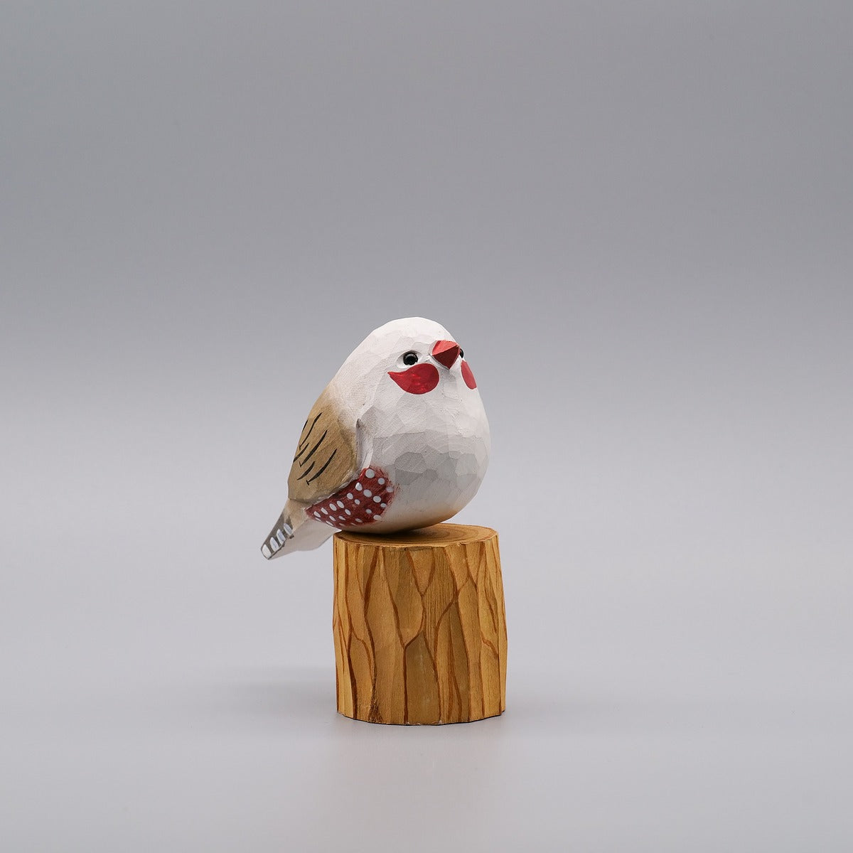 Classic Female Zebra Finch
