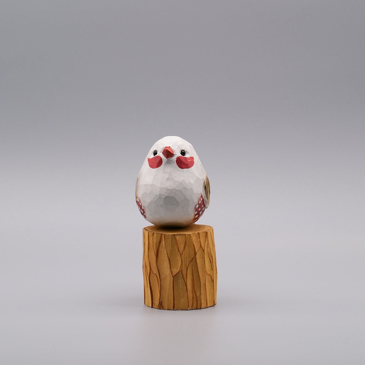 Male and Female Zebra Finch Set