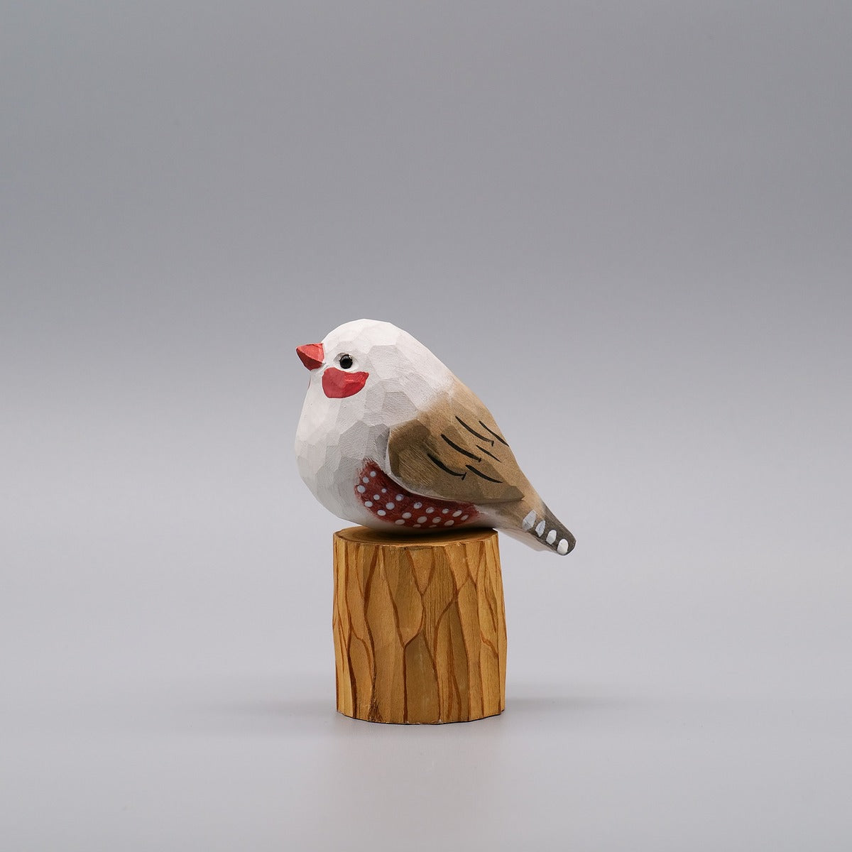 Classic Female Zebra Finch