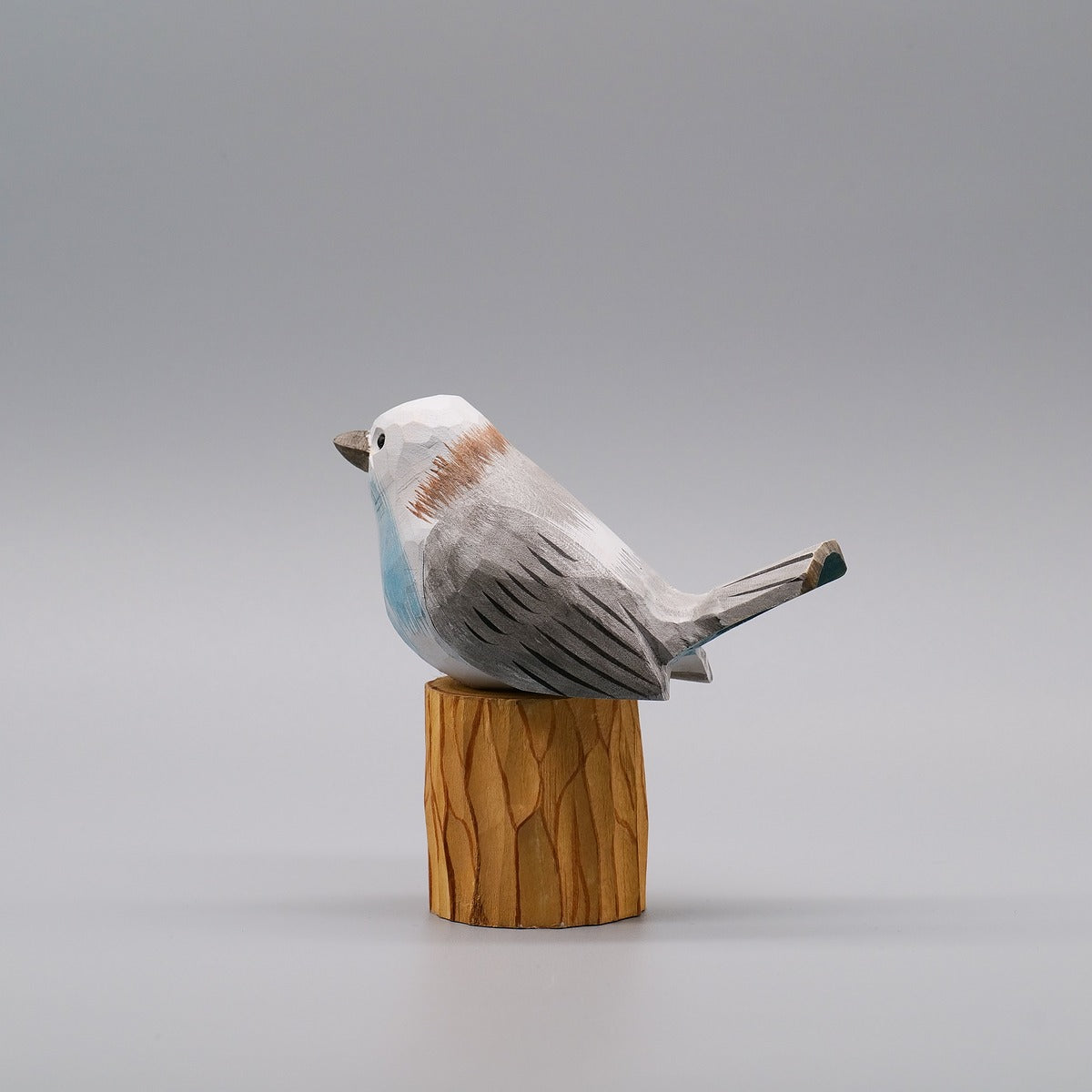 Classic Flycatcher
