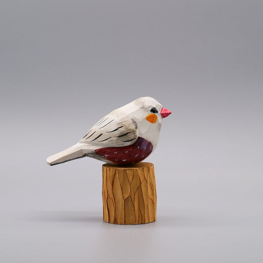 Classic Grey Zebra Finch