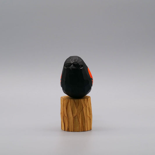 Classic Red-Winged Blackbird
