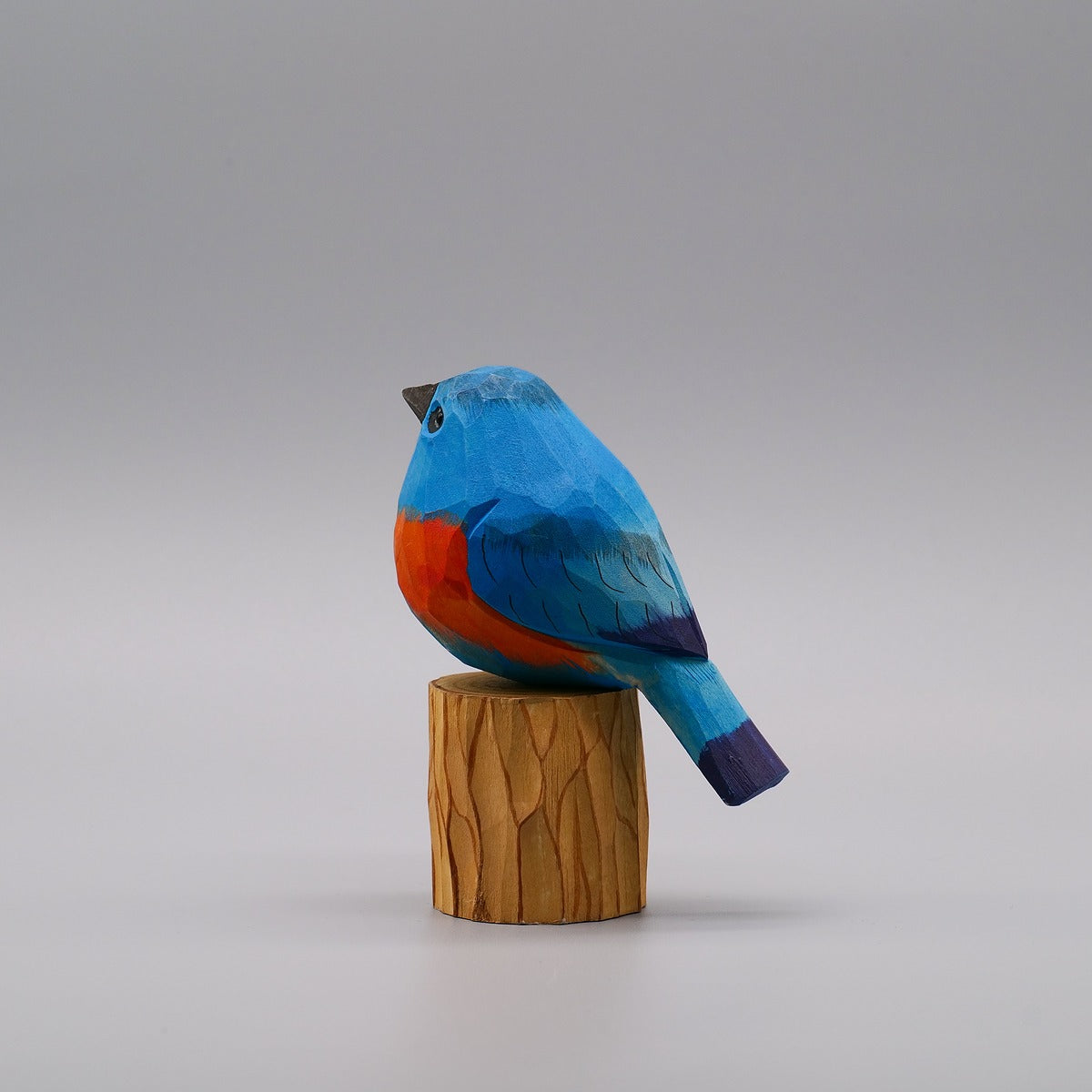 Classic Eastern Bluebird