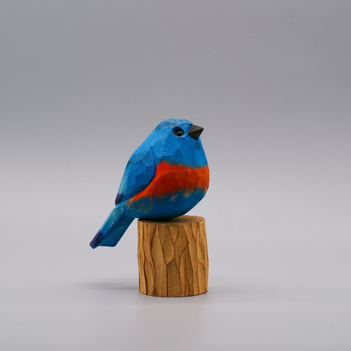 Classic Eastern Bluebird