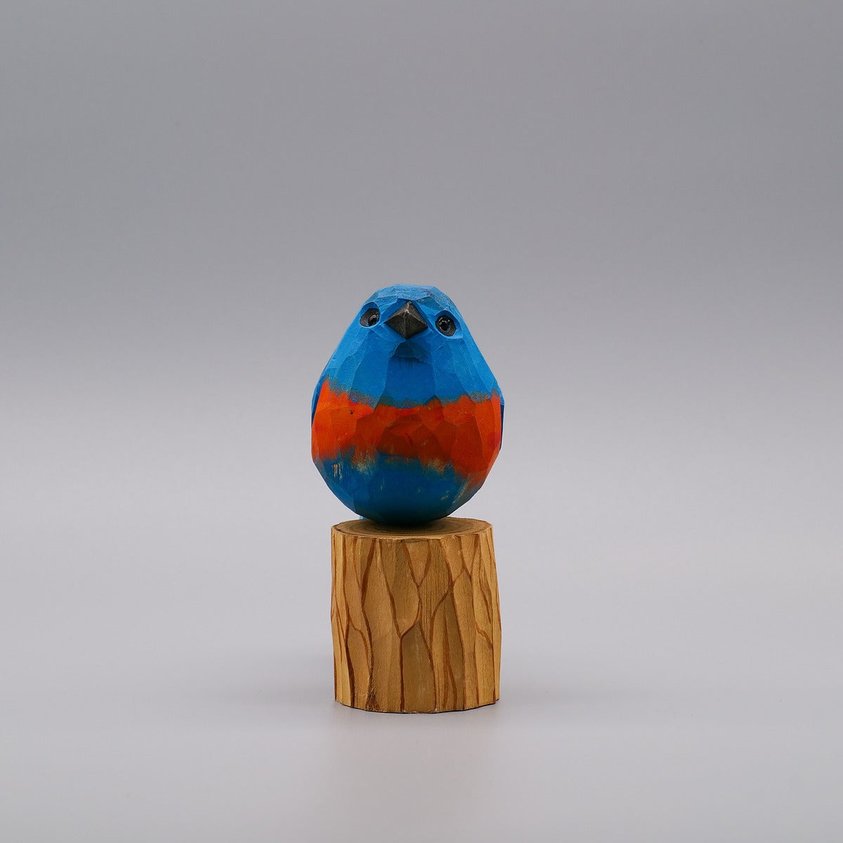 Classic Eastern Bluebird