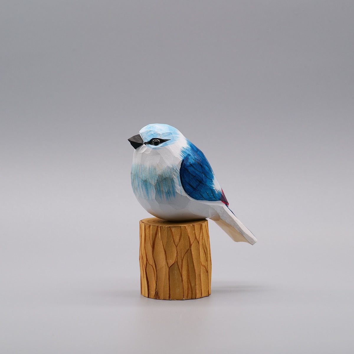 Classic Blue Jay