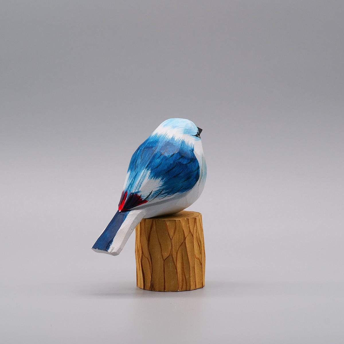 Classic Blue Jay