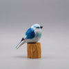 Classic Blue Jay