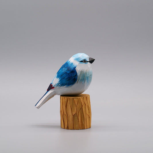 Classic Blue Jay
