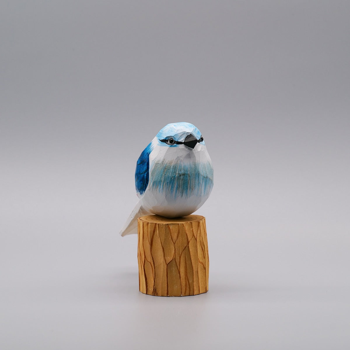Classic Blue Jay