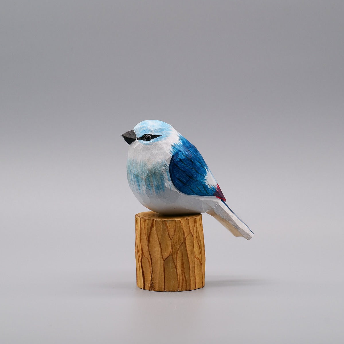 Classic Blue Jay