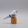 Classic White Blue Jay